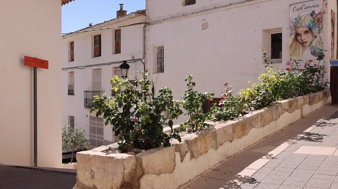 Street View with Wall Art