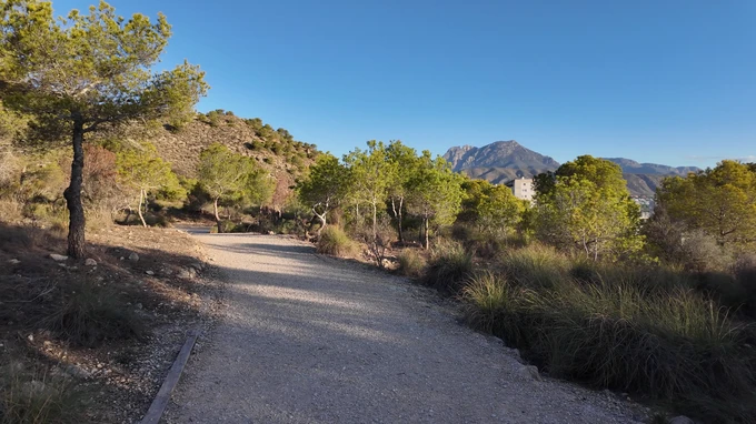 Mountain Pathway