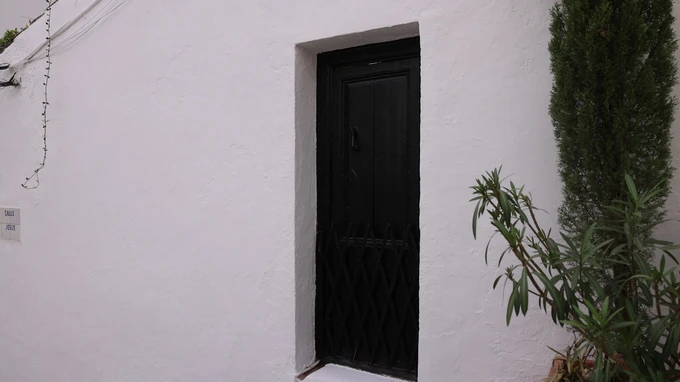 Minimalist Door and Plant