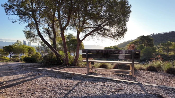 Tranquil Park Bench