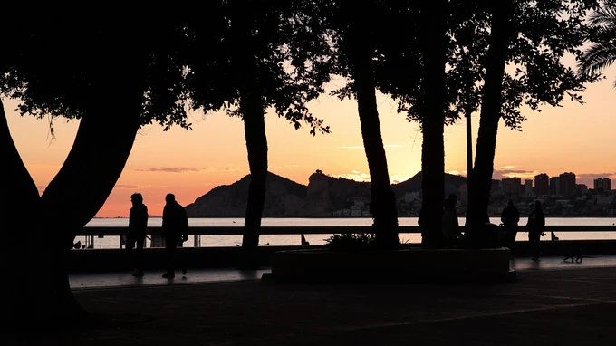 Sunset Silhouettes by the Sea