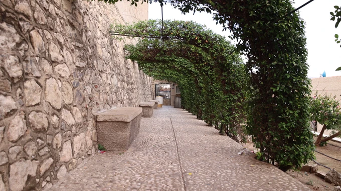 Stone Pathway with Arched Foliage