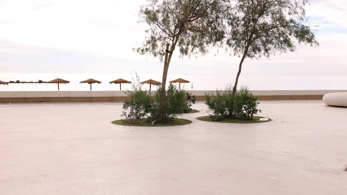 Serene Beachfront Promenade