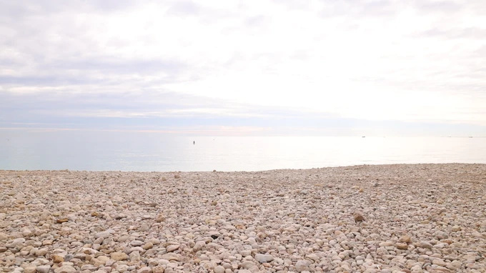 Serene Pebble Beach