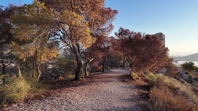 Autumn Pathway by the Water