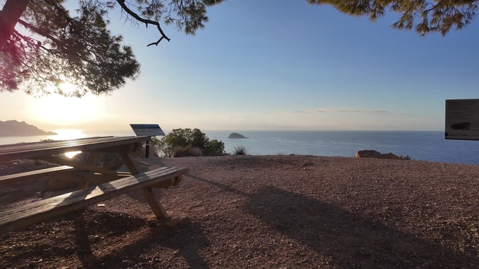 Serene Coastal Picnic Spot