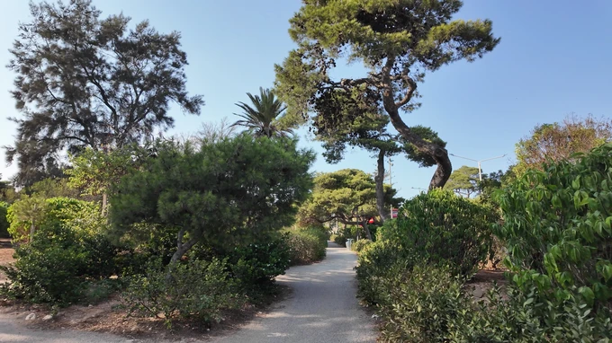 Serene Park Pathway
