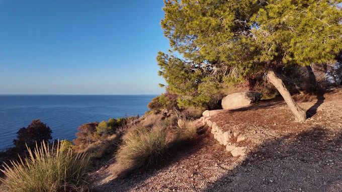Coastal Nature Scene