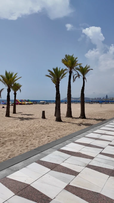 Beachfront View with Palm Trees