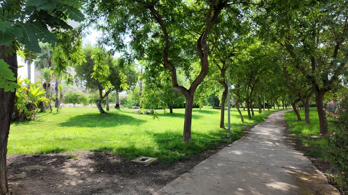 Lush Green Park Pathway